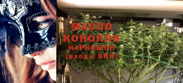 молекула духа Медногорск