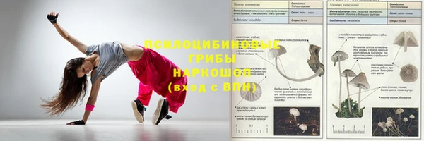 герыч Магас