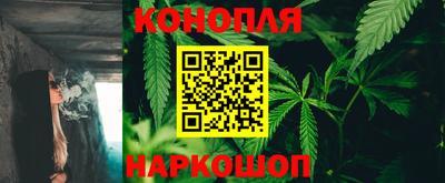 PSILOCYBIN Владивосток