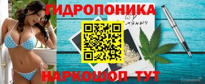 метадон Владимир