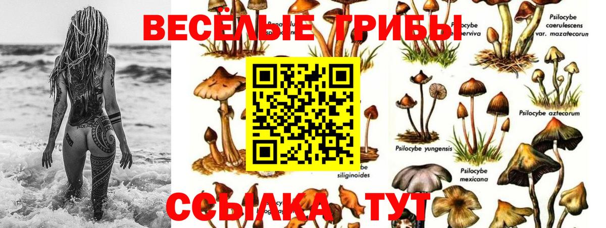 Краснокамск  Галлюциногенные грибы MAGIC MUSHROOMS  Вход с VPN  Псилоцибиновые грибы мухоморы 